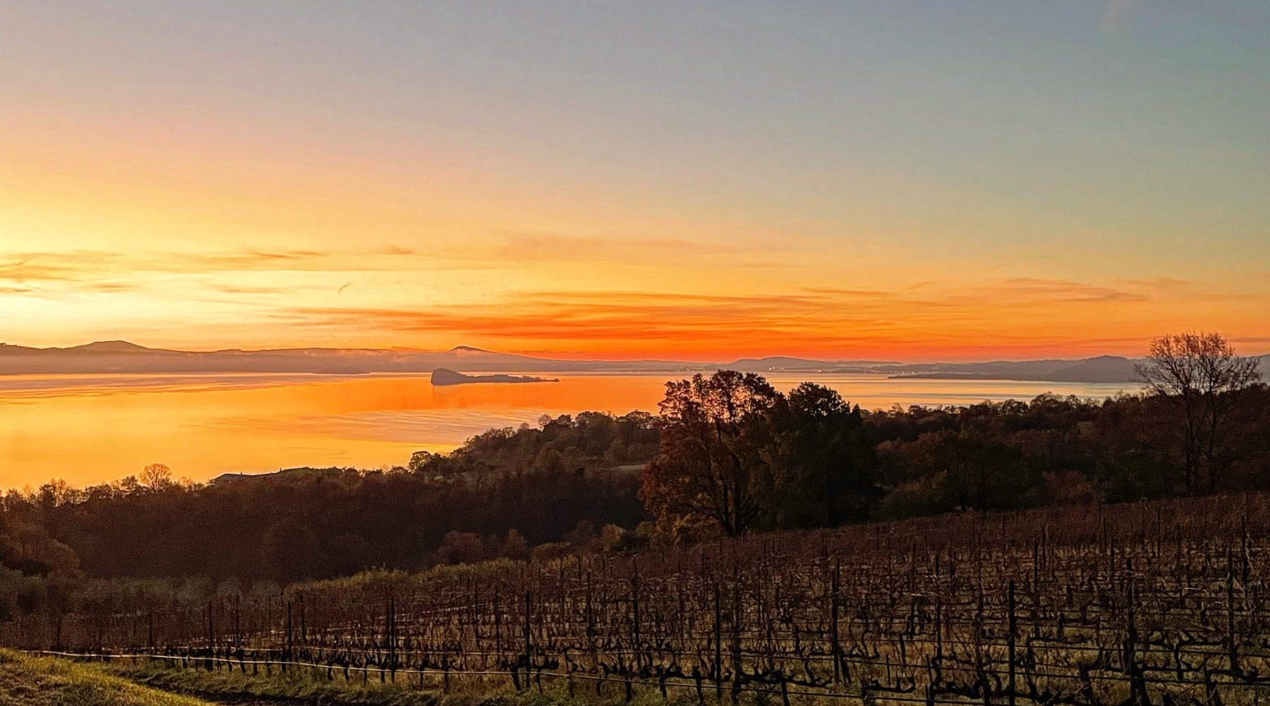 C7810179-FA72-4F87-9CAF-99D4549D61F4